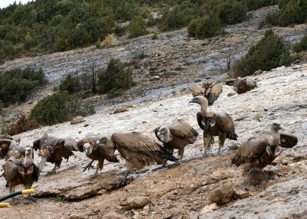 2012-Spanje (128)